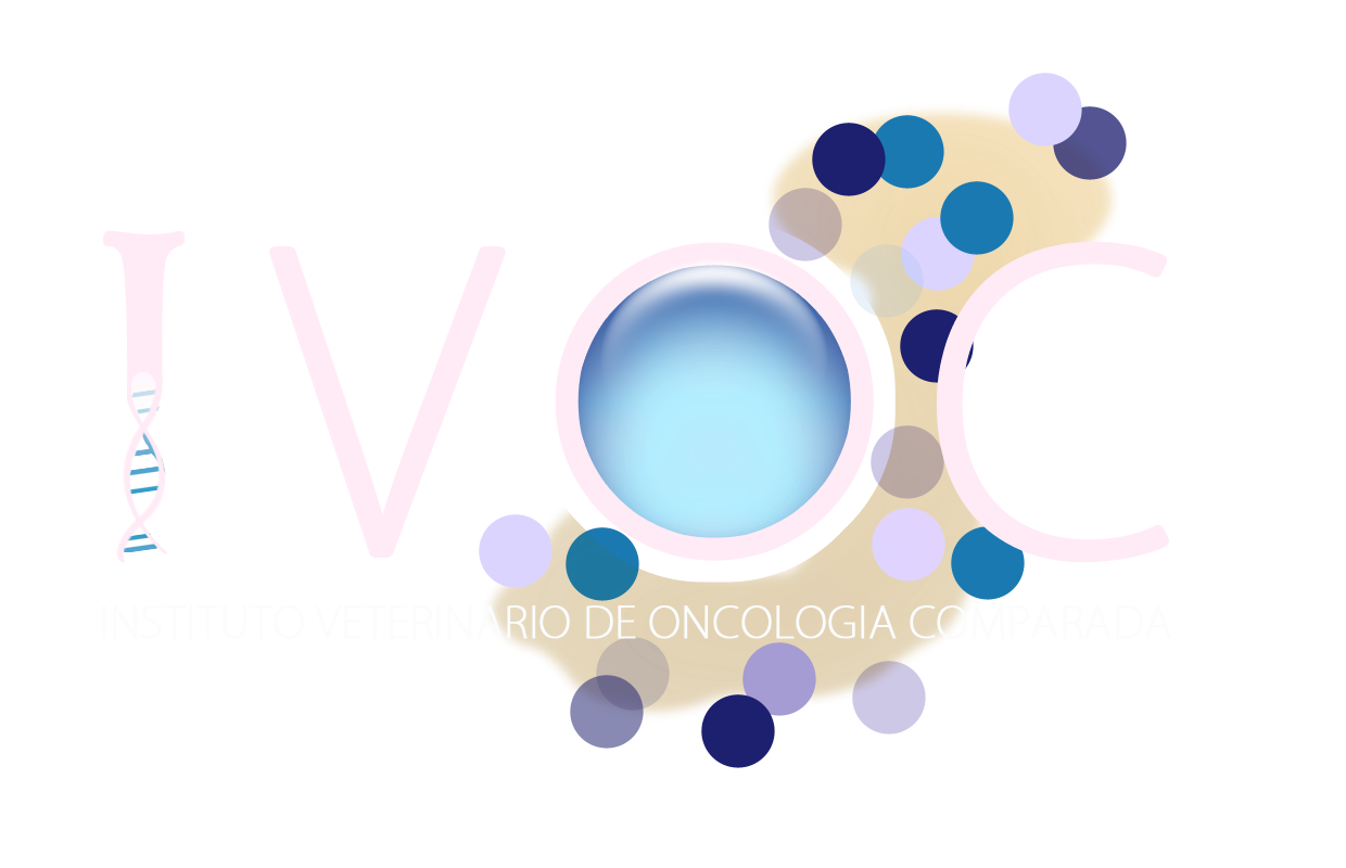 Instituto VOC